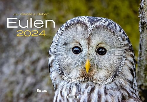 Eulen Kalender 2024: Der Tierkalender mit den charmanten Namen