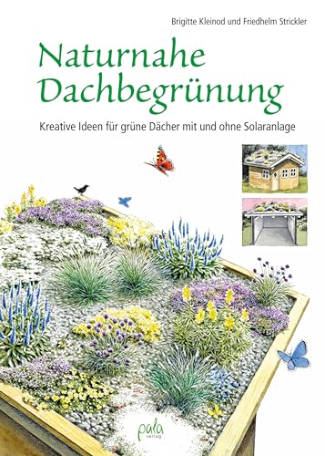 Unser blühendes Dach: Naturnahe Dachbegrünung mit und ohne Solaranlage für mehr Biodiversität und Klimaschutz von pala