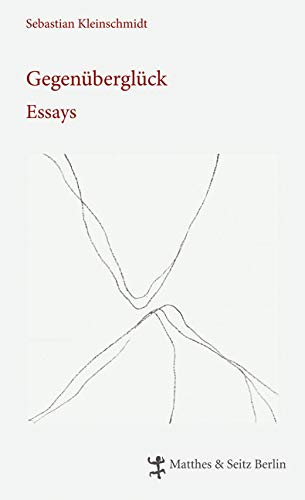 Gegenüberglück: Essays