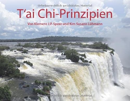 T‘ai Chi-Prinzipien