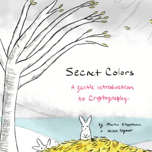 Secret Colors: A Gentle Introduction to Cryptography von Round Robin Publishing, LLC