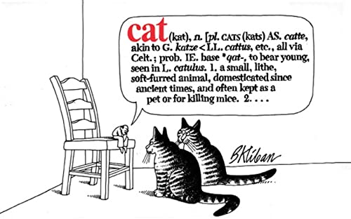 Cat Cat von Workman Publishing