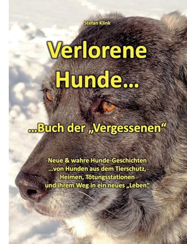 Verlorene Hunde: ...Buch der "Vergessenen" (Hund mit Streifen) von Books on Demand