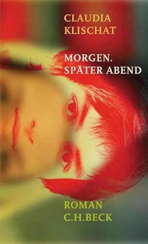 Morgen. Später Abend: Roman