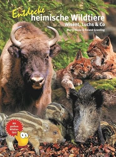 Entdecke heimische Wildtiere: Wiesent, Luchs & Co (Entdecke - Die Reihe mit der Eule: Kindersachbuchreihe)