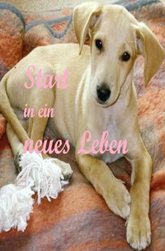Start in ein neues Leben: Hunde lieben und erleben