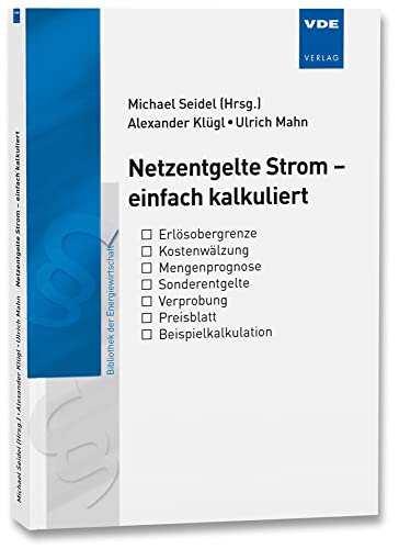 Netzentgelte Strom - einfach kalkuliert (Bibliothek der Energiewirtschaft) von Vde Verlag GmbH