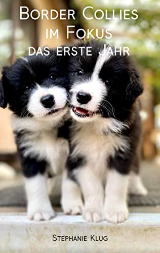 Border Collies im Fokus - das erste Jahr von Rediroma-Verlag