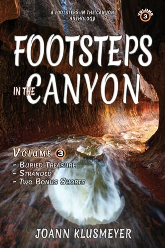 Buried Treasure and Stranded: A Footsteps in the Canyon Anthology (Footsteps in the Canyon Series for Young Teens, Band 3) von Innovo Publishing LLC
