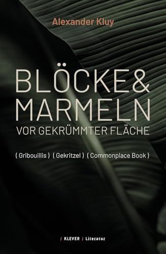 Blöcke und Marmeln vor gekrümmter Fläche: Ein Commonplace-Book von Klever Verlag