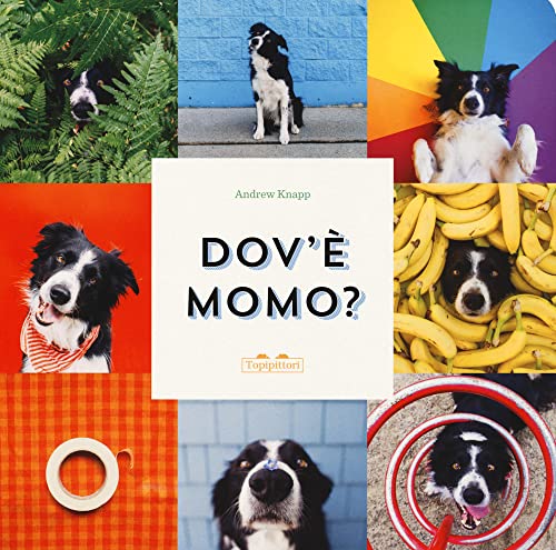 Dov'è Momo? Ediz. illustrata (Albi)