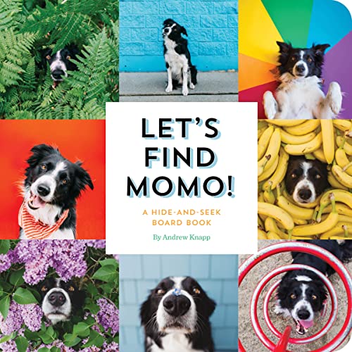 Let's Find Momo!: A Hide-and-Seek Board Book von Quirk Books