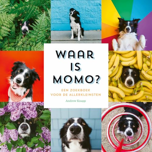 Waar is Momo?: een zoekboek voor de allerkleinsten