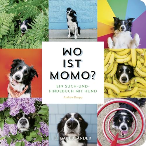 Wo ist Momo?: Ein Such- und Findebuch mit Hund | Foto-Bilderbuch für alle Hundefans ab 2 Jahren von FISCHERVERLAGE