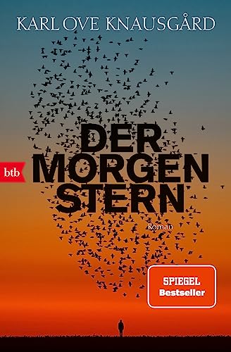 Der Morgenstern: Roman von btb