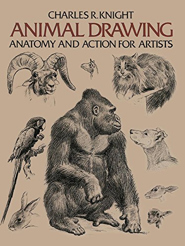 Animal Drawing (Dover Anatomy for Artists) von Dover Publications Inc.