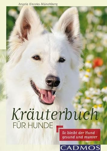 Kräuterbuch für Hunde: So bleibt der Hund gesund und munter