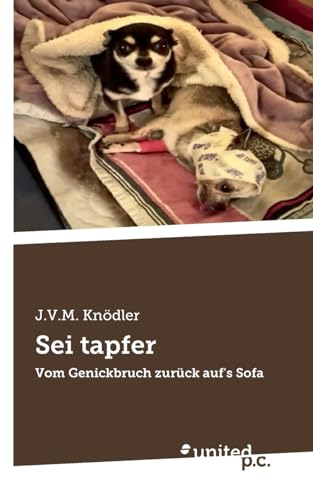 Sei tapfer: Vom Genickbruch zurück auf's Sofa von united p.c.
