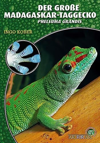 Der Große Madagaskar-Taggecko: Phelsuma grandis (Buchreihe Art für Art Terraristik)