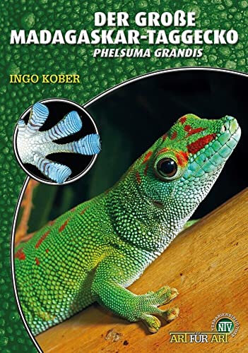 Der Große Madagaskar-Taggecko: Phelsuma grandis (Buchreihe Art für Art Terraristik) von Natur und Tier