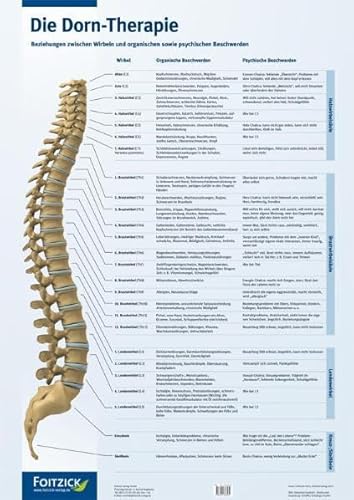 Die Dorn-Therapie, Poster: Beziehung zwischen Wirbeln und organischen sowie psychischen Beschwerden