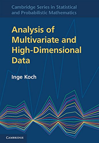Analysis of Multivariate and High-Dimensional Data (Cambridge Series in Statistical and Probabilistic Mathematics, 32, Band 32)