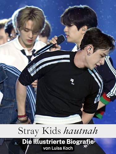 Stray Kids hautnah: Die illustrierte Biografie von FlipFlop