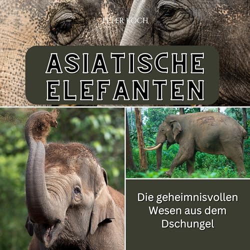 Asiatischer Elefant: Die geheimnisvollen Wesen aus dem Dschungel