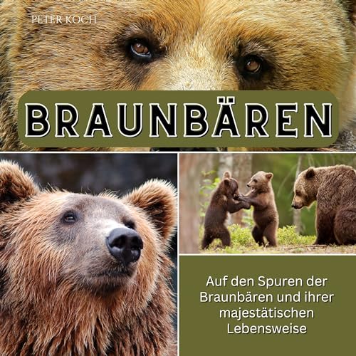 Braunbären: Auf den Spuren der Braunbären und ihrer majestätischen Lebensweise