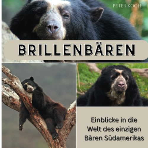 Brillenbären: Einblicke in die Welt des einzigen Bären Südamerikas von 27amigos