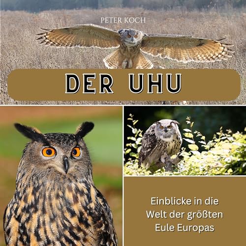 Der Uhu: Einblicke in die Welt der größten Eule Europas von 27 Amigos