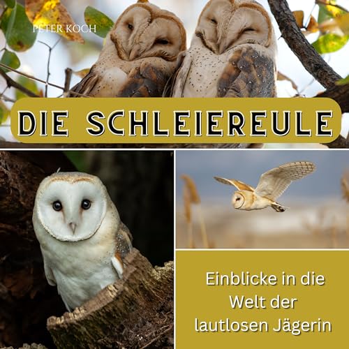 Die Schleiereule: Einblicke in die Welt der lautlosen Jägerin Die Schleiereule: Einblicke in die Welt der lautlosen Jägerin