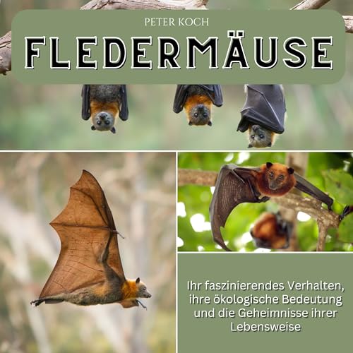 Fledermäuse: Ihr faszinierendes Verhalten, ihre ökologische Bedeutung und die Geheimnisse ihrer Lebensweise Fledermäuse: Ihr faszinierendes Verhalten, ihre ökologische Bedeutung und die Geheimnisse ihrer Lebensweise
