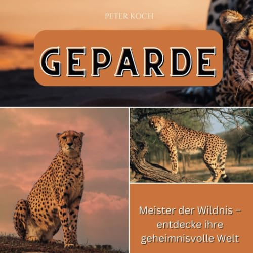 Geparde: Meister der Wildnis – entdecke ihre geheimnisvolle Welt von 27 Amigos