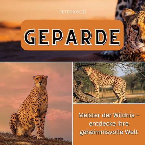 Geparde: Meister der Wildnis – entdecke ihre geheimnisvolle Welt