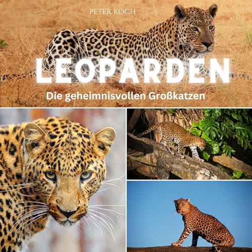 Leoparden: Die geheimnisvollen Großkatzen von 27 Amigos