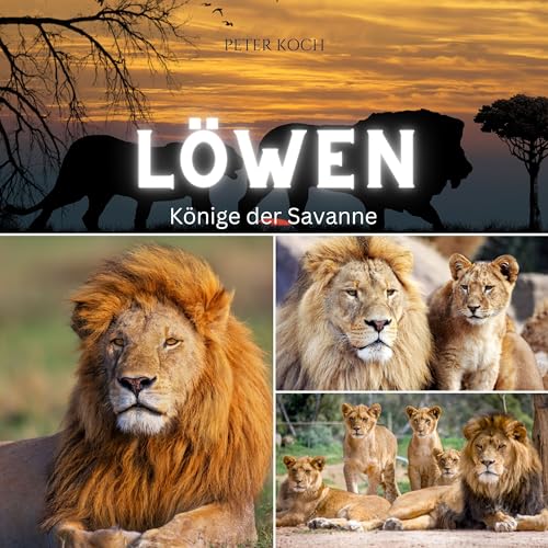 Löwen: Könige der Savanne