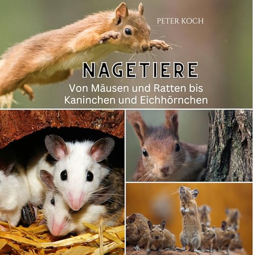 Nagetiere: Von Mäusen und Ratten bis Kaninchen und Eichhörnchen von 27 Amigos