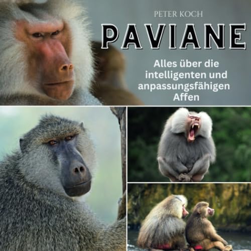 Paviane: Alles über die intelligenten und anpassungsfähigen Affen