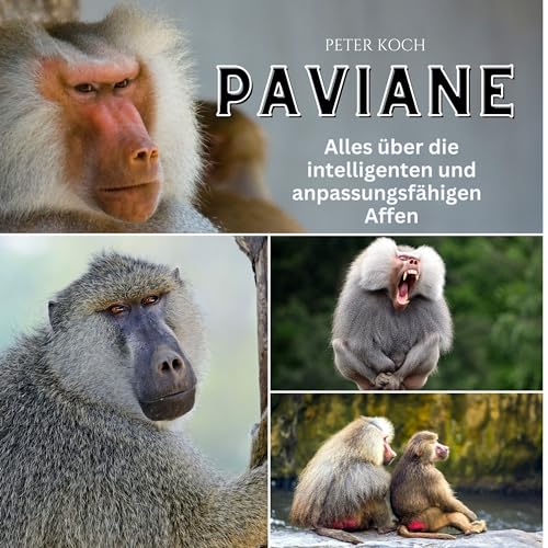 Paviane: Alles über die intelligenten und anpassungsfähigen Affen Paviane: Alles über die intelligenten und anpassungsfähigen Affen von 27 Amigos