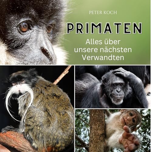Primaten: Alles über unsere nächsten Verwandten