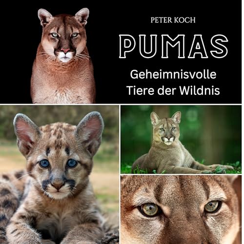 Puma: Geheimnisvolle Tiere der Wildnis von 27 Amigos