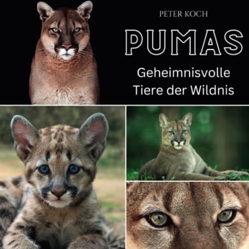 Puma: Geheimnisvolle Tiere der Wildnis