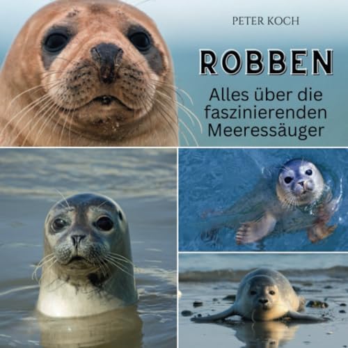 Robben: Alles über die faszinierenden Meeressäuger von 27 Amigos