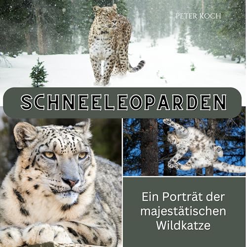 Schneeleopard: Ein Porträt der majestätischen Wildkatze
