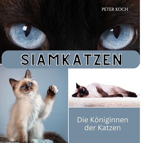 Siamkatzen: Die Königinnen der Katzen