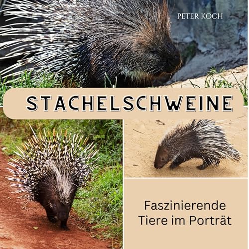 Stachelschweine: Faszinierende Tiere im Porträt von 27 Amigos