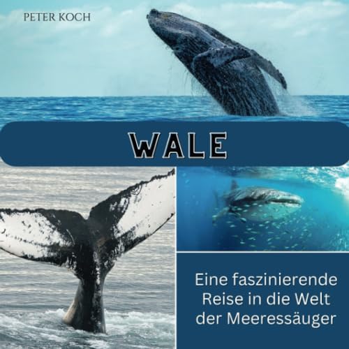 Wale: Eine faszinierende Reise in die Welt der Meeressäuger von 27 Amigos