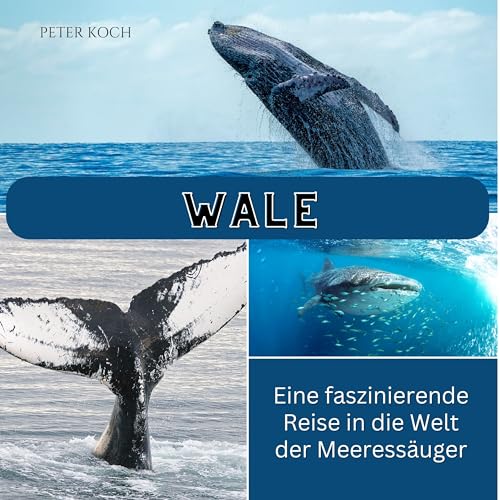 Wale: Eine faszinierende Reise in die Welt der Meeressäuger von 27 Amigos