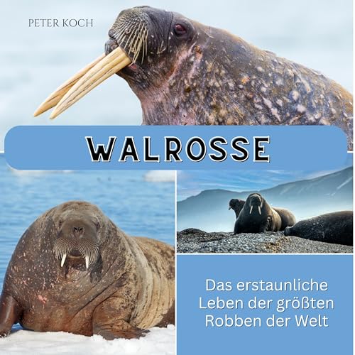 Walrosse: Das erstaunliche Leben der größten Robben der Welt von 27 Amigos